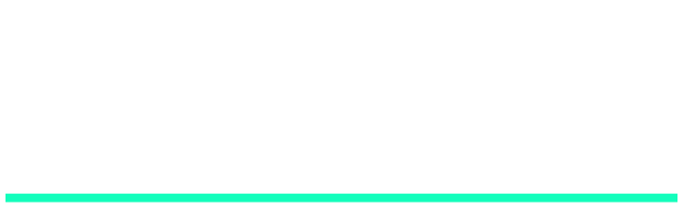 DigiRel Logo weiss